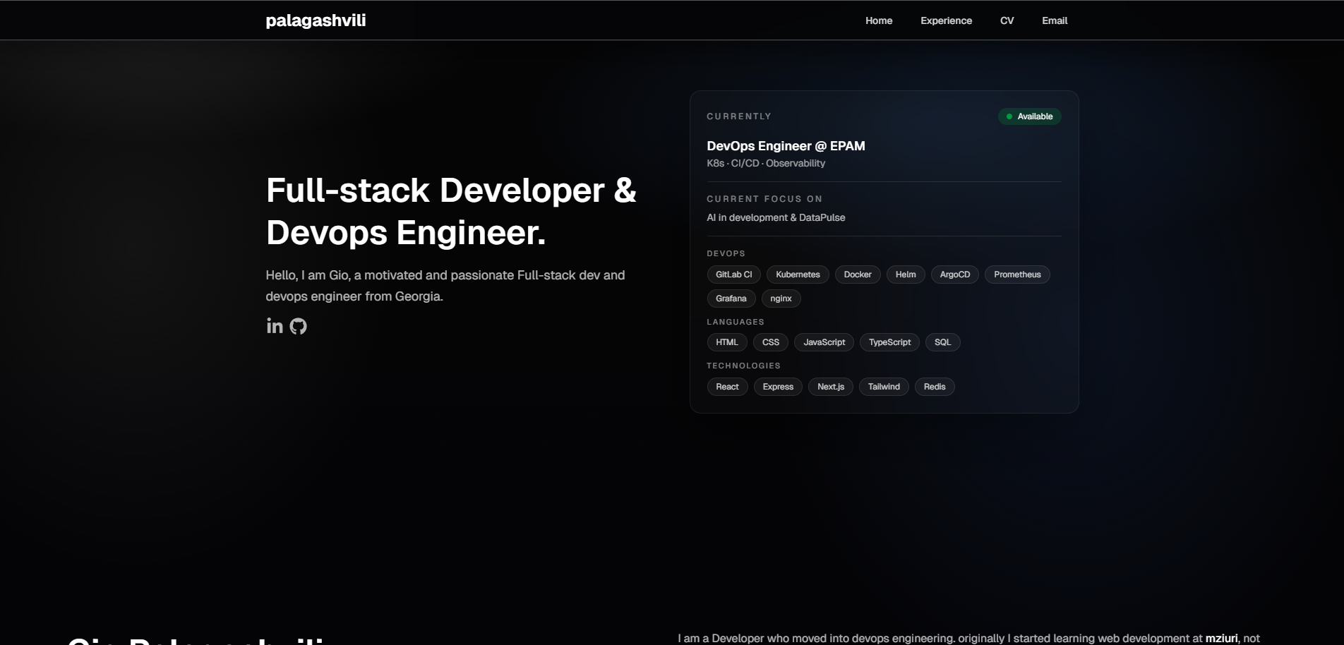 Gio Palagashvili | DevOps Engineer & Full-Stack Developer